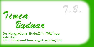 timea budnar business card